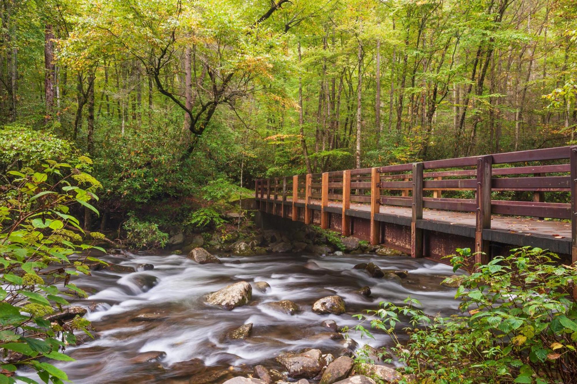 Moonshine Chalet, Hot Tub, Pool Access, Wifi, 1089 Free Tickets Each Paid Day, Dollywood And More جاتلينبرج المظهر الخارجي الصورة